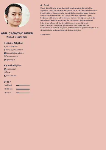 Ziraat Mühendisi Cv Örnekleri cv indir